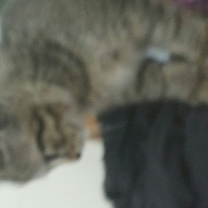 Meet your Posher, Playing games